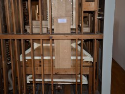 Balg nefu beledert.png